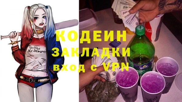 ПСИЛОЦИБИНОВЫЕ ГРИБЫ Арсеньев