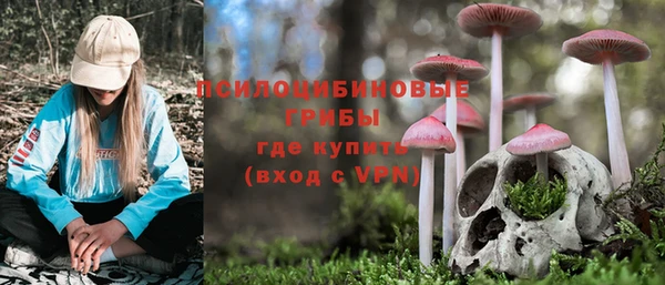 ПСИЛОЦИБИНОВЫЕ ГРИБЫ Арсеньев