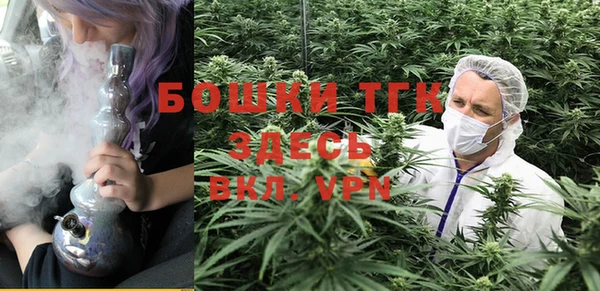 ПСИЛОЦИБИНОВЫЕ ГРИБЫ Арсеньев