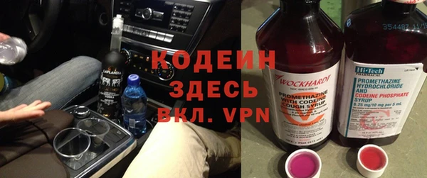 ПСИЛОЦИБИНОВЫЕ ГРИБЫ Арсеньев