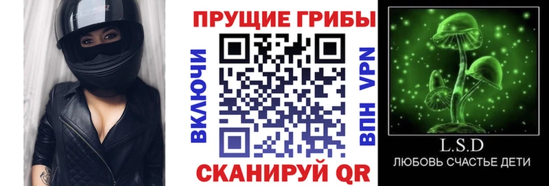 Псилоцибиновые грибы Magic Shrooms  Могоча 